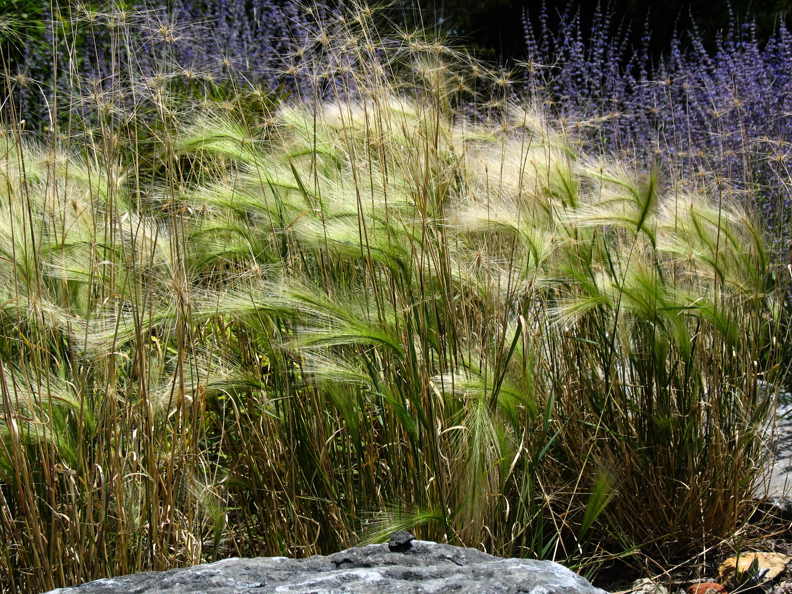 IMG_0062 - Modifié.jpg__PID:c147200f-32a2-4d2b-98b9-0dcfaf660ebc